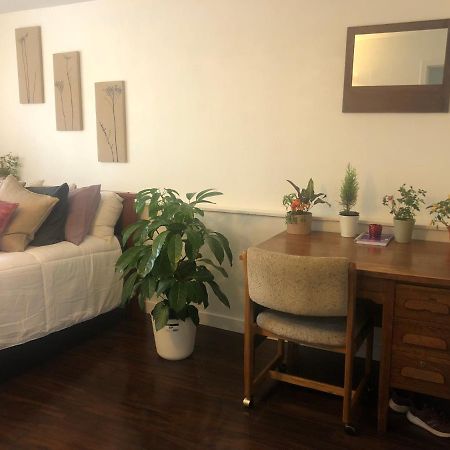 Quiet-Comfy 3 Bedroom Home On A Tree Lined Street In Kits 밴쿠버 외부 사진