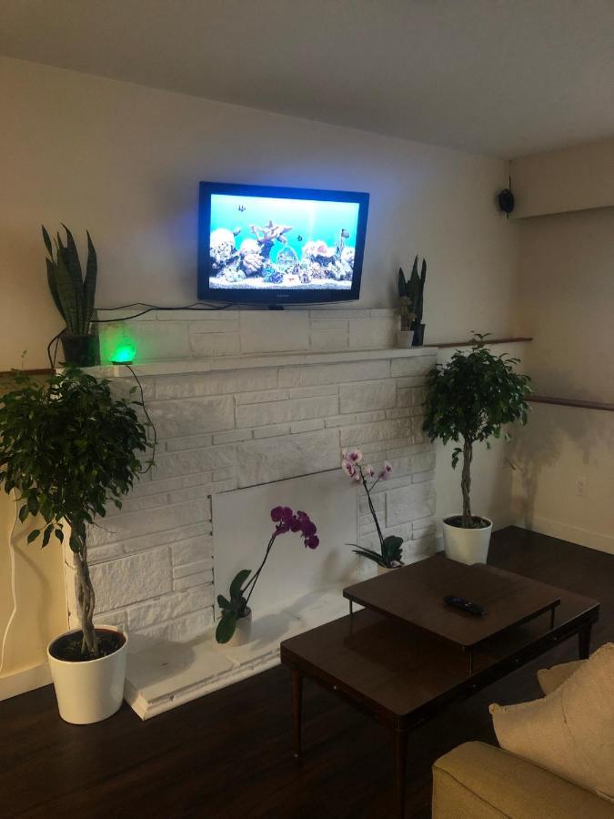 Quiet-Comfy 3 Bedroom Home On A Tree Lined Street In Kits 밴쿠버 외부 사진