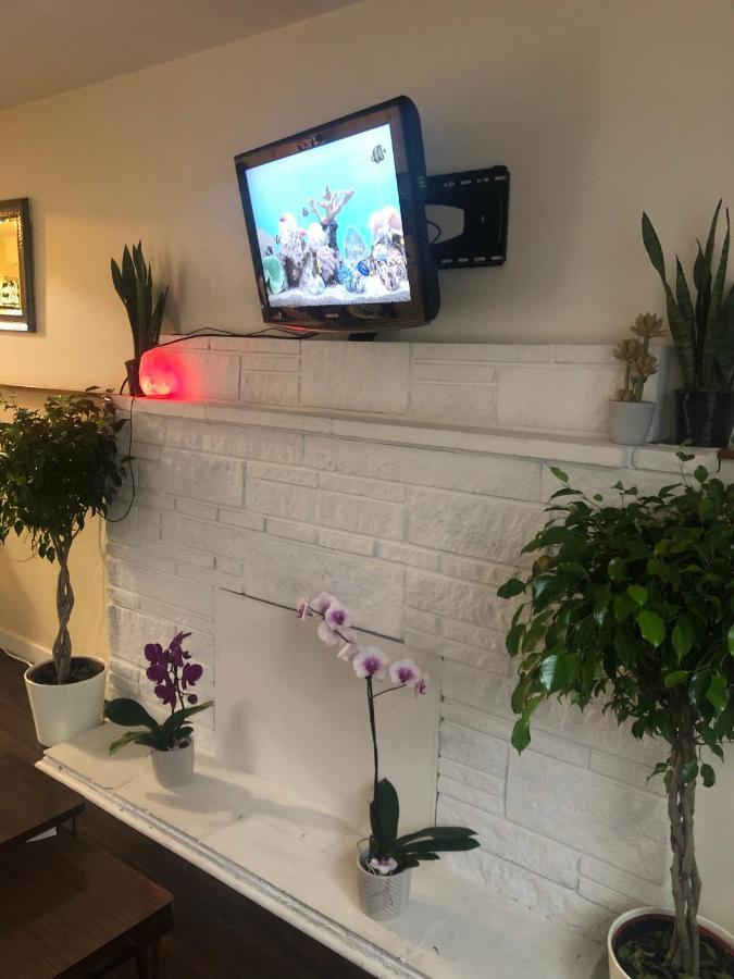 Quiet-Comfy 3 Bedroom Home On A Tree Lined Street In Kits 밴쿠버 외부 사진